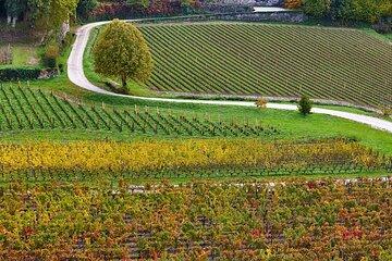 Athens Cape Sounion Sunset and Wine Tasting Tour with Transfer