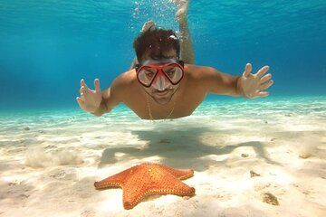 Cozumel Sky Ferry Snorkeling Crystal Waters