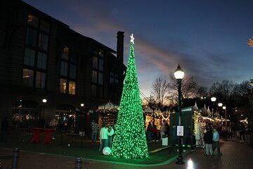 2 Hour Holiday Lights and Cheer Driving Tour