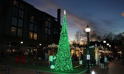 2 Hour Holiday Lights and Cheer Driving Tour
