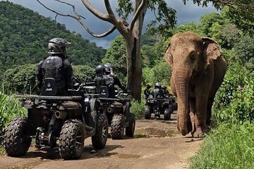 8 Hour Sticky Waterfall ATV and Zipline Guided Adventures