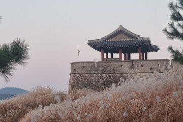 Private Guided Walking Tour in Suwon