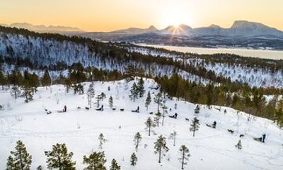 Self Drive Dogsledding, Reindeer Herd Visit, & Lunch