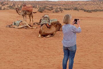 Jeep Safari Mini Sahara Desert with Berber Lunch