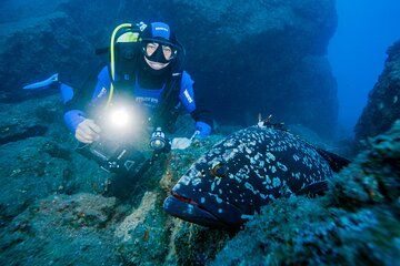 Private Scorpio Madeira Dive Experience in Ponta de São Lourenço