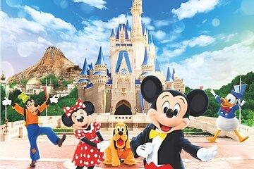 Tokyo Disneyland or DisneySea Ticket and One Way Shared Transfers