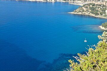 Half Day Shared Cassis Tour with Wine Tasting