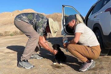Khiva to Bukhara through Old Fortresses and Botanical Garden