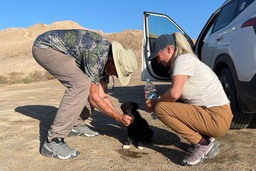 Khiva to Bukhara through Old Fortresses and Botanical Garden