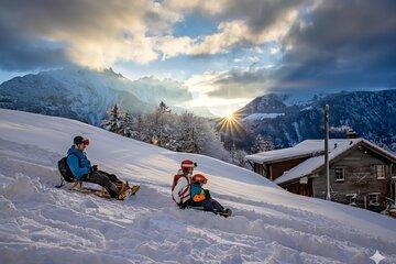Sledding Adventure from Kleine Scheidegg to Wengen