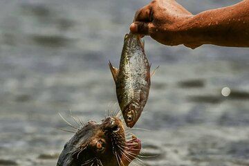 Full day Lake Valencia