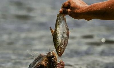 Full day Lake Valencia