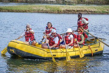 Zambezi River Float with Game Drive and White Rhino Safari