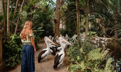 Bali City Pass Deluxe Top Attractions and Multiple Experiences