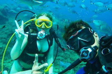 Side: Undersea Museum Diving Tour