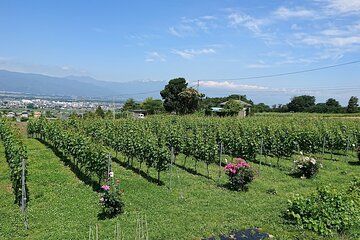 Mountains Craft Wines with Purpose Shiojiri