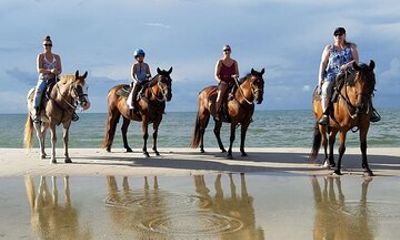 Side Guided Horseback Riding Experience with Hotel Transfer