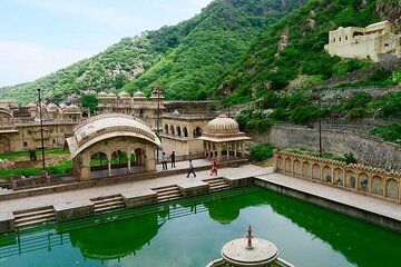 Jaipur Cultural Day Tour Hawa Mahal City Palace and Monkey Temple