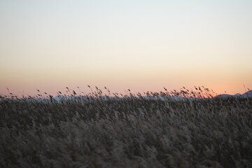 Five Senses Journey in Busan West Side Full Day