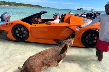 Nassau Bahamas Jetcar Excursion to Pig Island
