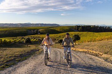 Cruise Excursion Self Guided Biking Wine Tour