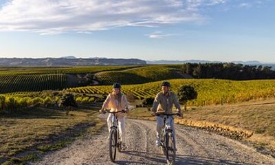 Cruise Excursion Self Guided Biking Wine Tour