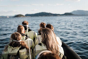 Coastal Safari by RIB from Ålesund