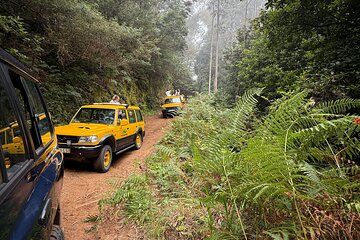 Madeira East 4x4 Pico do Areeiro Santana and Ponta São Lourenço