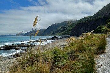 Guided Scenic Day Tour to Kaikōura from Christchurch
