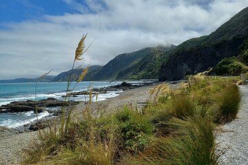 Guided Scenic Day Tour to Kaikōura from Christchurch