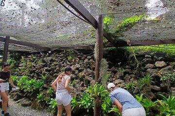 Garden of Sleeping Giant Tour with Tifajek Mud Pool and Hotspring