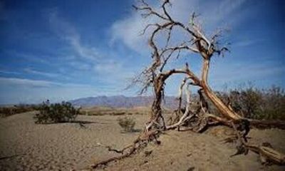 Death Valley Small Group Day Tour from Las Vegas