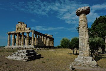 Private tour from Naples to Paestum Excavations