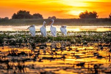 Danube Delta and Black Sea Two Day Private Tour