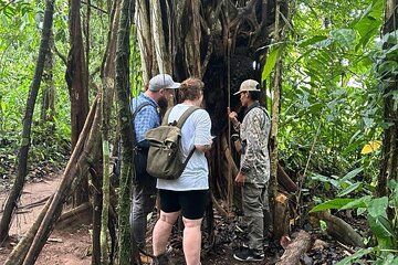 Rain Forest Sloth Observation and Coffee Tour