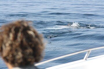 Eco Tour From Science to the Sea An Unforgettable Journey