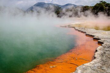 Tauranga Shore Excursion: Wai-o-Tapu with Forest Walk/Forest Spa