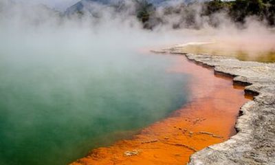 Tauranga Shore Excursion: Wai-o-Tapu with Forest Walk/Forest Spa