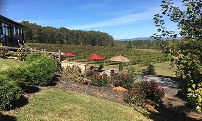 Elijay Three Vineyards Private Wine Tasting Tour from Atlanta