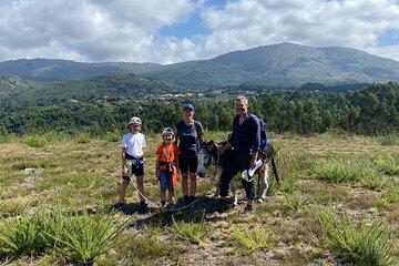 Walk with a donkey Serra D´Arga waterfall, Viana do Castelo