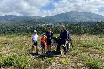 Walk with a donkey Serra D´Arga waterfall, Viana do Castelo