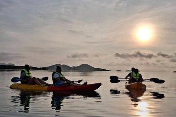Sunrise Mangrove Boat and Kayak Tour