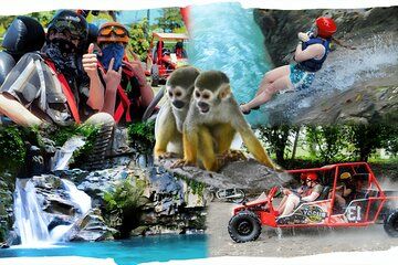 3x1: Monkeyland Waterfalls and Buggies