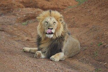 3 Day Ol Pejeta Visit