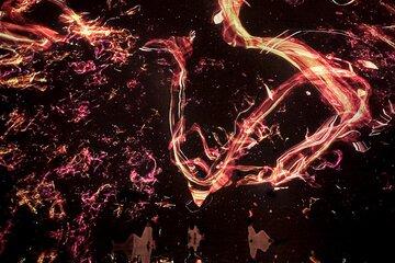 Discover Kyoto TeamLab Biovortex Experience