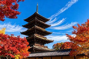 Kyoto's Chronological History(Private Tour)