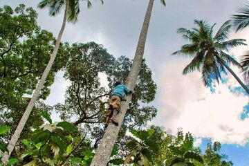 Cultural Village and Market Tour in Zanzibar