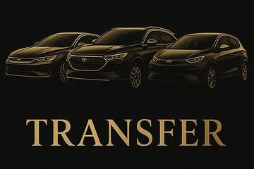 Transfers PIPA Airports in Premium Electric Cars