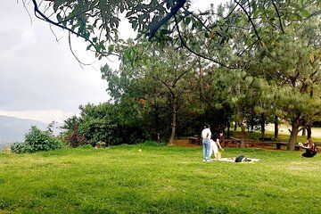 Wild Agaves Hiking Adventure in Oaxaca