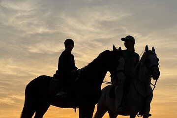 Horseback ride on the beaches of Essaouira